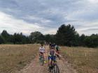 IMG-20221219-WA0003